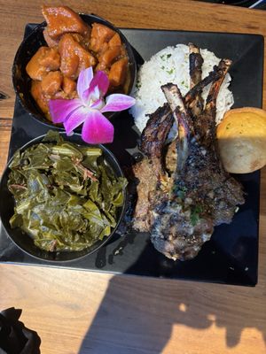 Y’s Choice by null