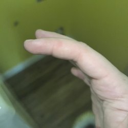 Lowe's Home Improvement
