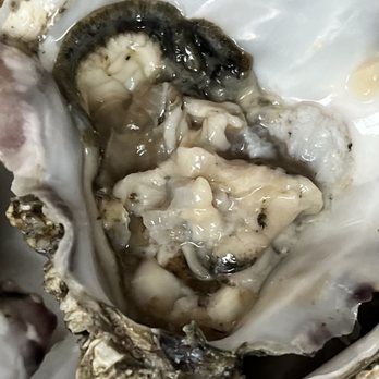 Archar Seafood - Fresh Shucked Oyster - Seafood Markets Near Me - Somerset, New Jersey