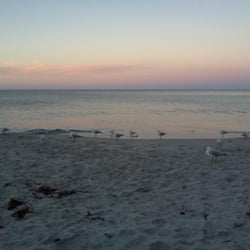Second Valley Beach