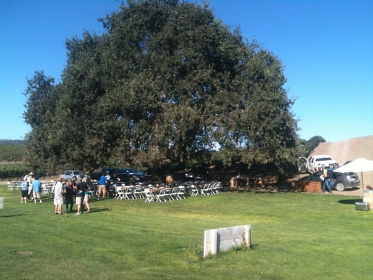 Stolpman Vineyards - Los Olivos Tasting Room by null