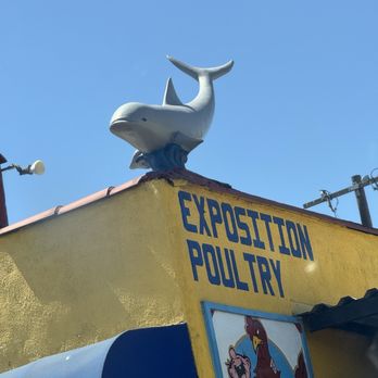 Exposition Fish & Poultry Mkt - Why do they have a dolphin up there hehehe. Ute but funny - Seafood Markets Near Me - Los Angeles, California