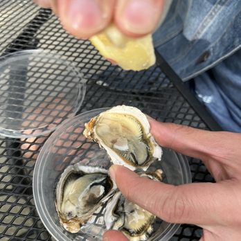 Seattle Fish Guys - Oysters - Seafood Markets Near Me - Seattle, Washington