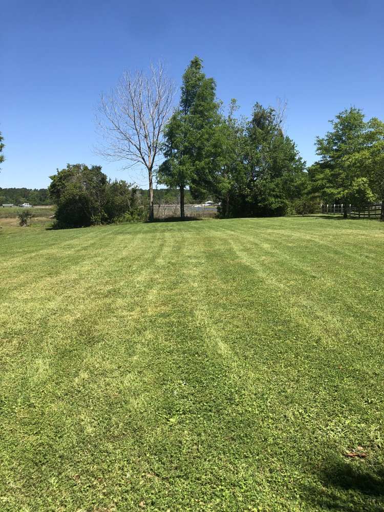 Grass Cutters of Charleston - tree service in Charleston, SC