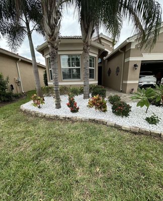 Best Places to Buy Plants Tampa Florida: Top Local Nurseries Revealed