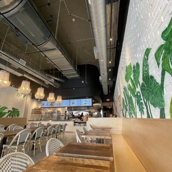 Rice Mediterranean Kitchen - Mediterranean Near Me - Fort Lauderdale, Florida Rice Mediterranean Kitchen - Mediterranean Near Me - Fort Lauderdale, Florida