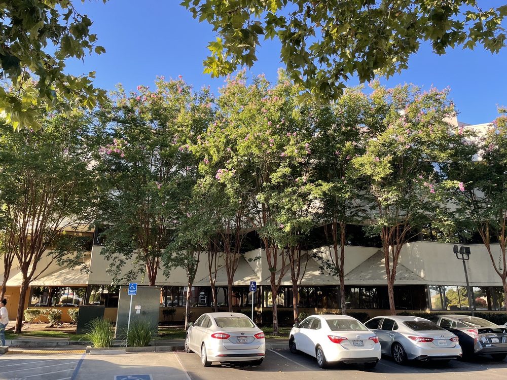 SUTTER MEDICAL PLAZA ELK GROVE Updated September 2024 26 Photos