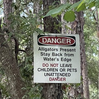 Audubon Bird Sanctuary - Parks Near Me - Dauphin Island, Alabama Audubon Bird Sanctuary - Parks Near Me - Dauphin Island, Alabama