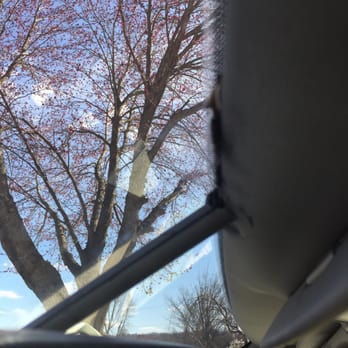 Quality Glass Service - Black glob of grease, this is the "cleaned up"version. Was much worse. - Auto Glass Services Near Me - Niles, Michigan Quality Glass Service - Black glob of grease, this is the "cleaned up"version. Was much worse. - Auto Glass Services Near Me - Niles, Michigan