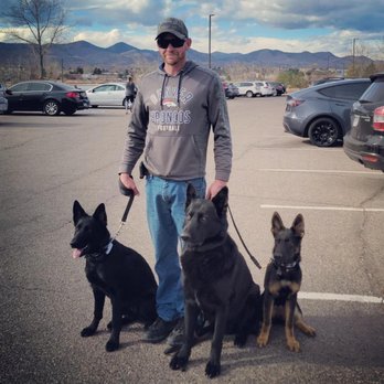 All-Pro Dog Training - Pet Training Near Me - Elizabeth, Colorado