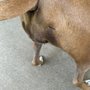 Photo of Brookside Animal Hospital