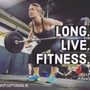 Main Line Gym