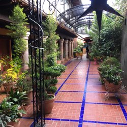 Restaurante Gardenias - The garden