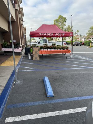 Trader Joe's by null