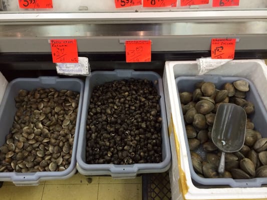 Marché Oriental St-Denis by null