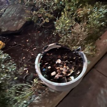 The Open Cork Eatery & Lounge - Trash and cigarette butts in the garden that's connected to the patio - Italian Near Me - Mississauga, Ontario The Open Cork Eatery & Lounge - Trash and cigarette butts in the garden that's connected to the patio - Italian Near Me - Mississauga, Ontario