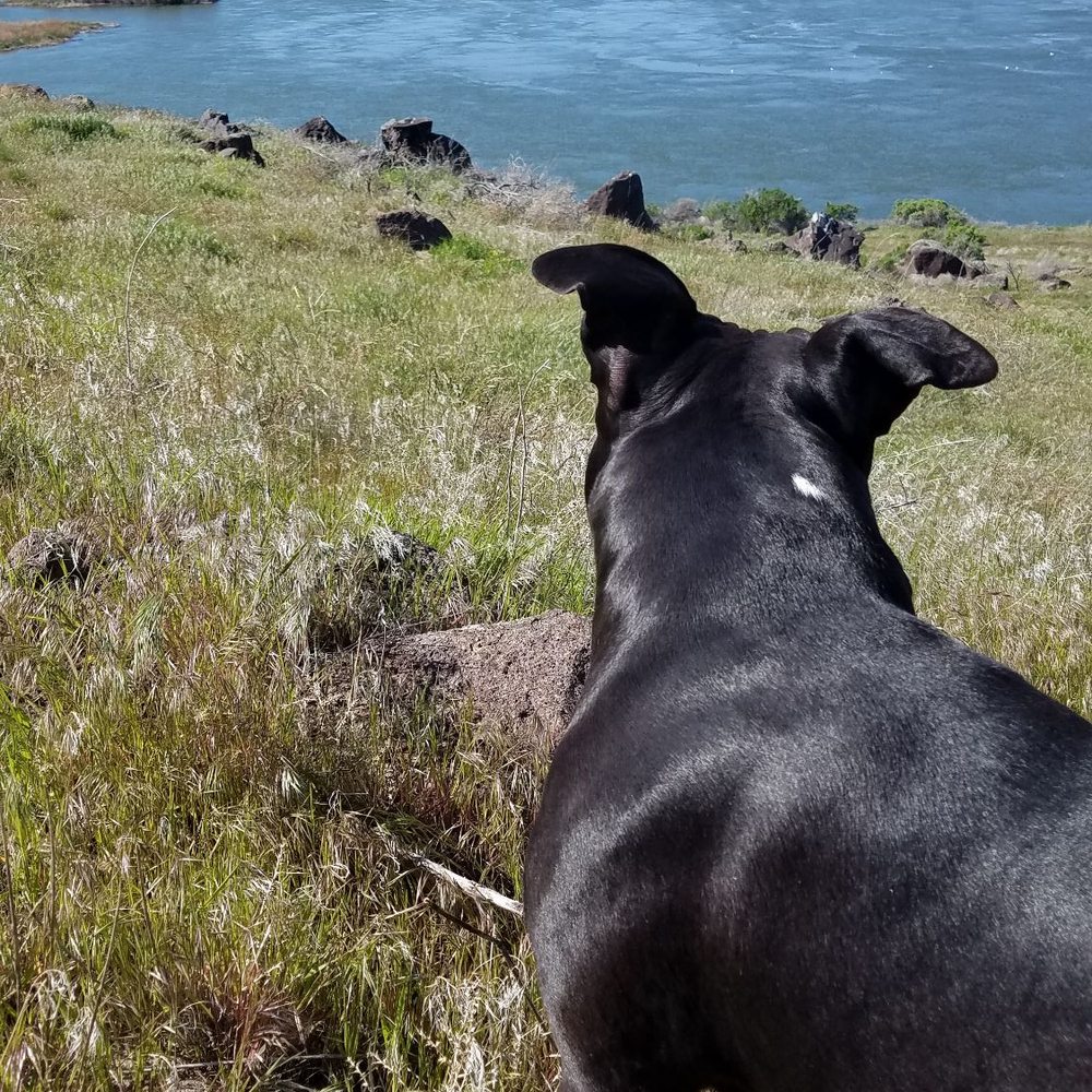 Celebration Park - 2 hour walk enjoying the view - Parks Near Me - Melba, Idaho Celebration Park - 2 hour walk enjoying the view - Parks Near Me - Melba, Idaho