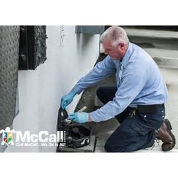 McCall Pest & Wildlife - Pest Control Near Me - Ocala, Florida McCall Pest & Wildlife - Pest Control Near Me - Ocala, Florida