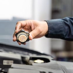 Princeton Car Service - Oil change 6099242004