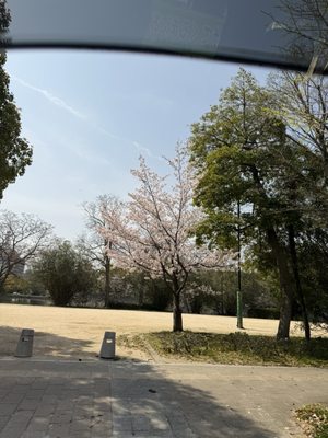 Hiroshima Castle by null
