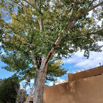 Lliguin Landscaping - Landscaping Near Me - Albuquerque, New Mexico