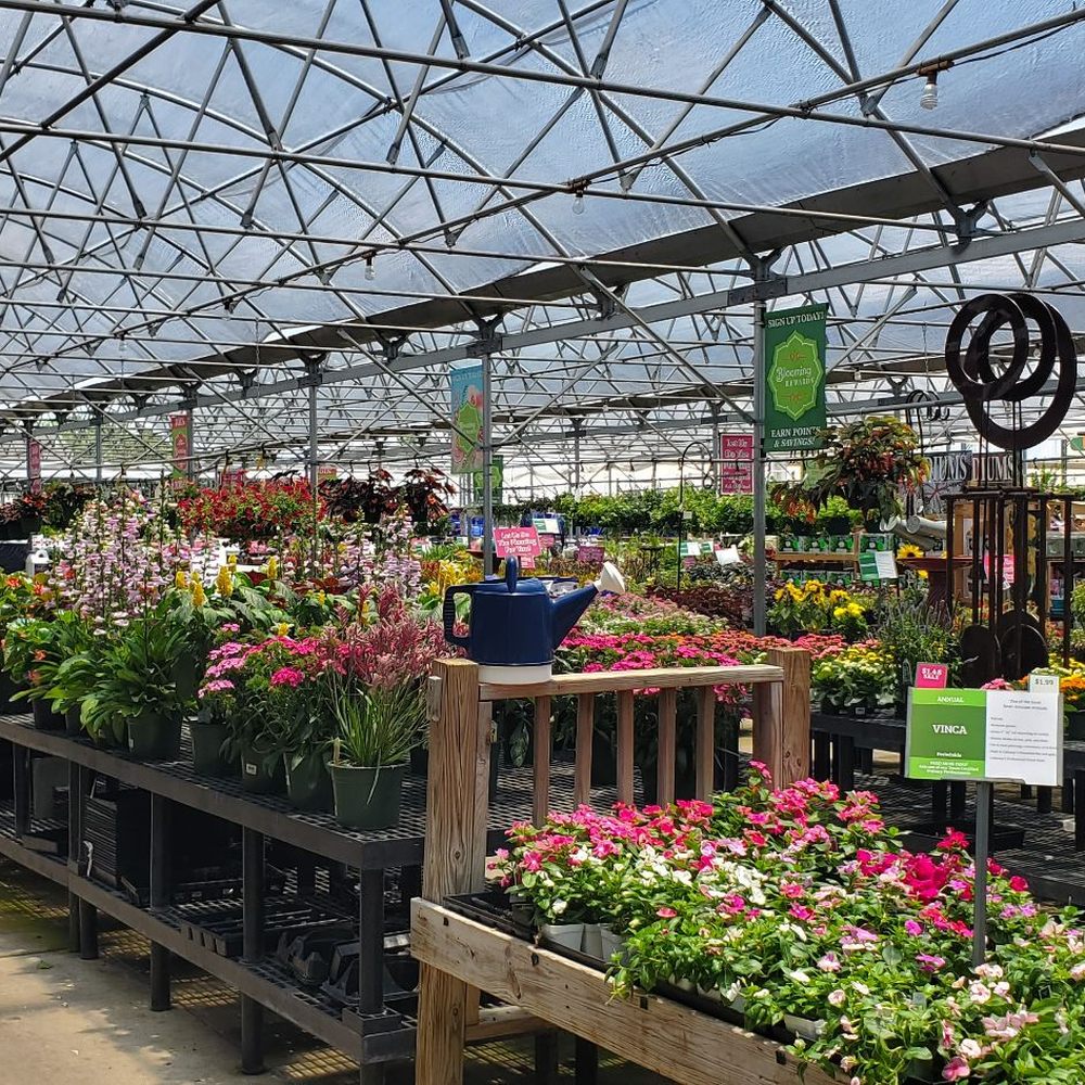 Cornelius Nursery - The nursery is much larger than I expected - Nurseries & Gardening Near Me - Houston, Texas Cornelius Nursery - The nursery is much larger than I expected - Nurseries & Gardening Near Me - Houston, Texas