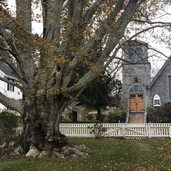 1720 House - Garden - Hotels Near Me - Vineyard Haven, Massachusetts 1720 House - Garden - Hotels Near Me - Vineyard Haven, Massachusetts