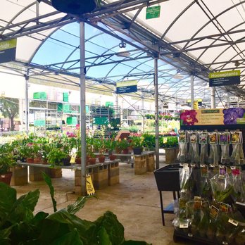 The Home Depot - Gardening area. They have a wide variety of plants - Nurseries & Gardening Near Me - Casselberry, Florida The Home Depot - Gardening area. They have a wide variety of plants - Nurseries & Gardening Near Me - Casselberry, Florida