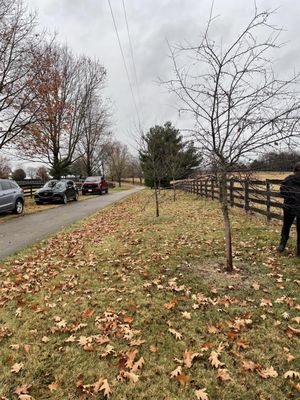 Mill Ridge Farm by null