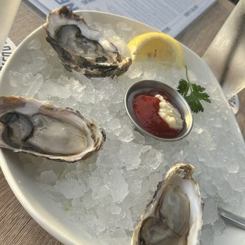 Topsail - Raw Oysters - American Near Me - San Diego, California Topsail - Raw Oysters - American Near Me - San Diego, California