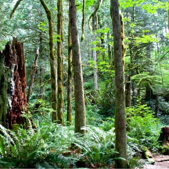 Wallace Falls State Park - Parks Near Me - Gold Bar, Washington Wallace Falls State Park - Parks Near Me - Gold Bar, Washington