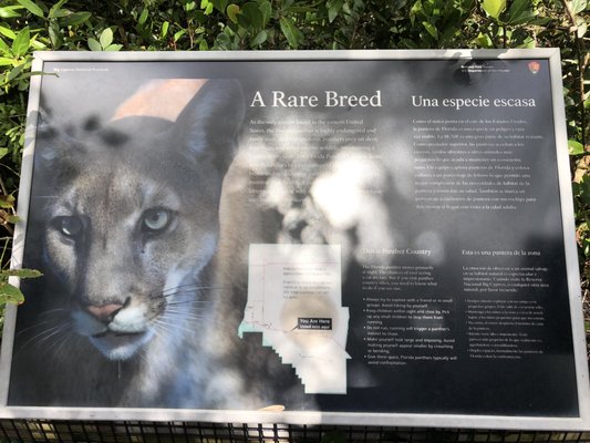 Kirby Storter Roadside Park by null