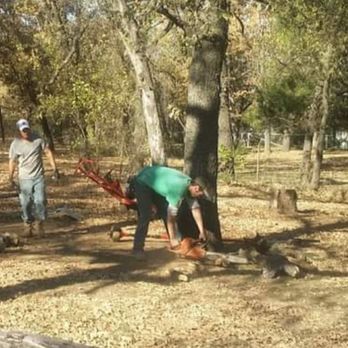 White Rock Tree Removal Service - Tree Services Near Me - Dallas, Texas White Rock Tree Removal Service - Tree Services Near Me - Dallas, Texas