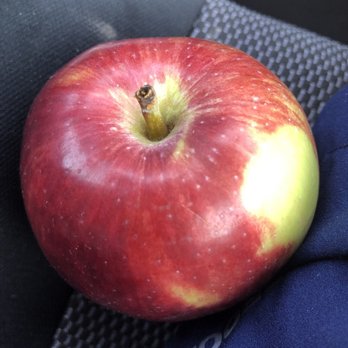 Pine Hill Farm - Paula Red Apple - Farmers Market Near Me - Chester, New York Pine Hill Farm - Paula Red Apple - Farmers Market Near Me - Chester, New York