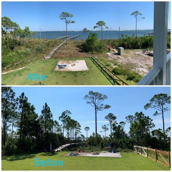 Kodiak Tree Service - before and after - Landscaping Near Me - Valparaiso, Florida