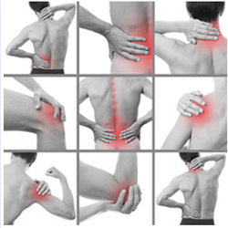 The Wellness Clinic Healing Arts