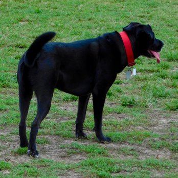 Robinson Duck Farm Dog Park - Dog Parks Near Me - Brookhaven, New York