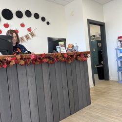 Innate Chiropractic - Reception