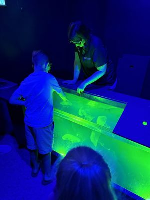 Texas State Aquarium by null