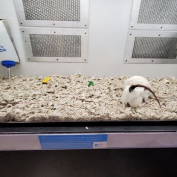 Petco - Pet Stores Near Me - Kissimmee, Florida