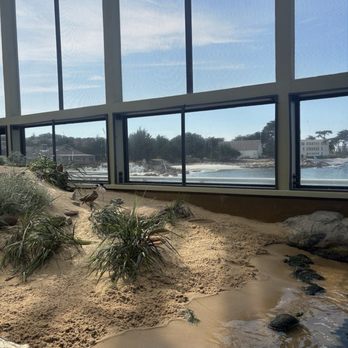 Monterey Bay Aquarium - A whole ecosystem inside - Aquariums Near Me - Monterey, California