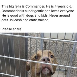 Berkeley County Humane Society