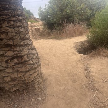Sunset Cliffs Natural Park - Small off trail - Parks Near Me Sunset Cliffs Natural Park - Small off trail - Parks Near Me