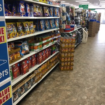 Dollar Tree - Pet supplies - Discount Store Near Me - Atlantic Beach, Florida