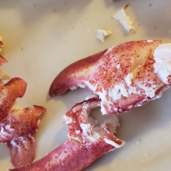 Bull N' Claw - Seafood Near Me - Wells, Maine Bull N' Claw - Seafood Near Me - Wells, Maine