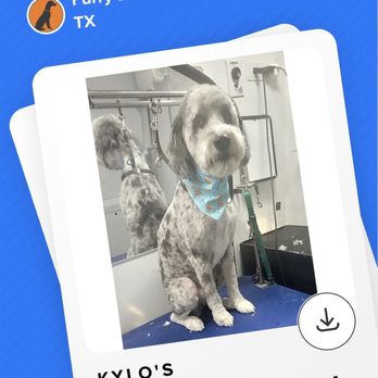 Furry Land Mobile Grooming - Pet Groomers Near Me Furry Land Mobile Grooming - Pet Groomers Near Me