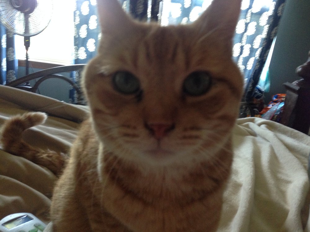 PRAIRIE VIEW ANIMAL HOSPITAL Updated September 2024 1555 County Rd