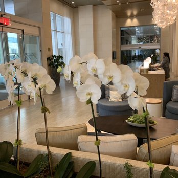 InterContinental Houston - Entrance. - Hotels Near Me - Houston, Texas InterContinental Houston - Entrance. - Hotels Near Me - Houston, Texas
