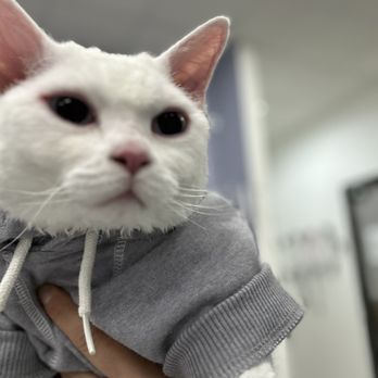 Dugan's Veterinary Hospital - Veterinarians Near Me - Aurora, Colorado