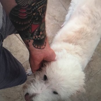 High 5 Pet Care - Dog Walkers Near Me - Las Vegas, Nevada High 5 Pet Care - Dog Walkers Near Me - Las Vegas, Nevada